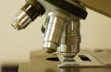 Forensic evidence examination under a microscope