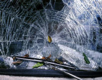 Windshield damage from a vehicle accident reconstructed by FSI